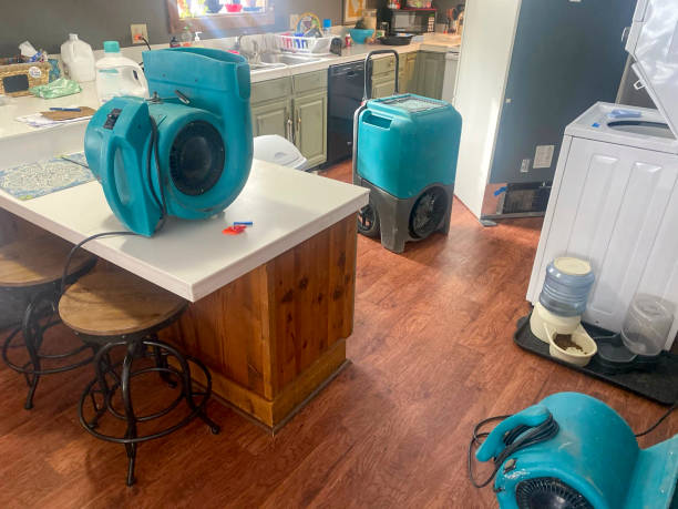 Sewage cleanup and water damage restoration in IL