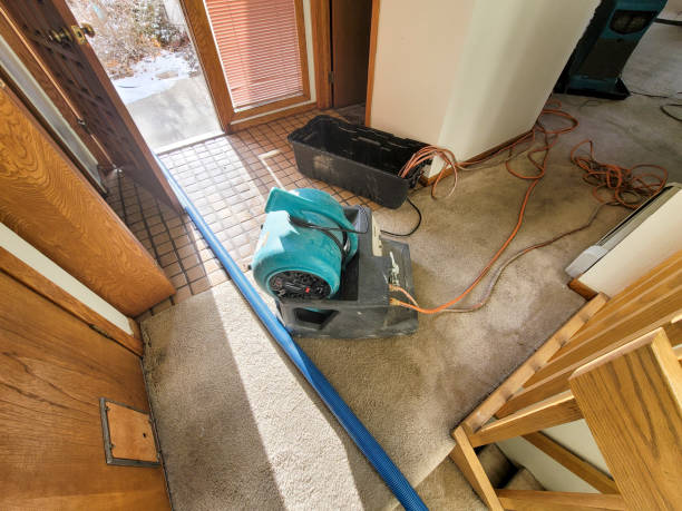 Best Local water damage restoration  in Harristown, IL