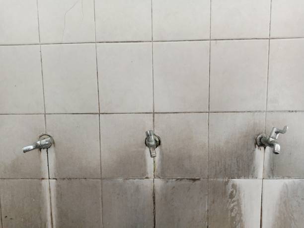 Best Flooded house restoration  in Harristown, IL