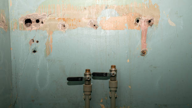 Best Water damage cleanup near me  in Harristown, IL