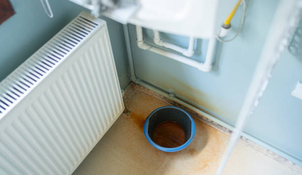 Best Ceiling water damage repair  in Harristown, IL