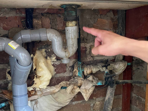 Best Flood restoration services  in Harristown, IL