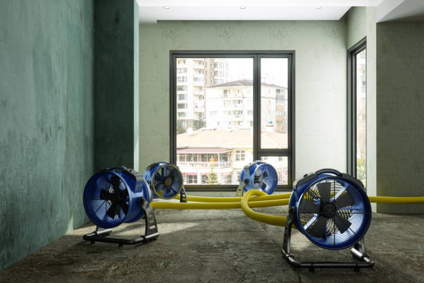 Best Ceiling water damage repair  in Harristown, IL