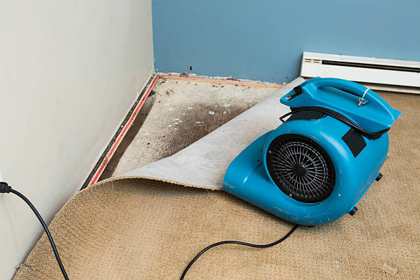  Harristown, IL Water damage restoration Pros